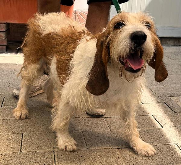Anaya Cagnolina Dolcissima